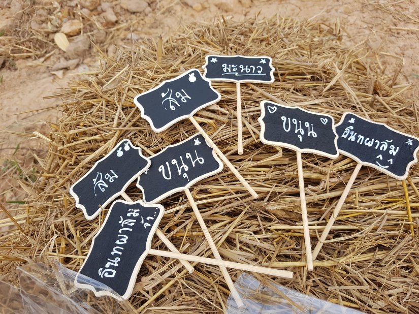 55849228_2126199707477074_3842839159651696640_o