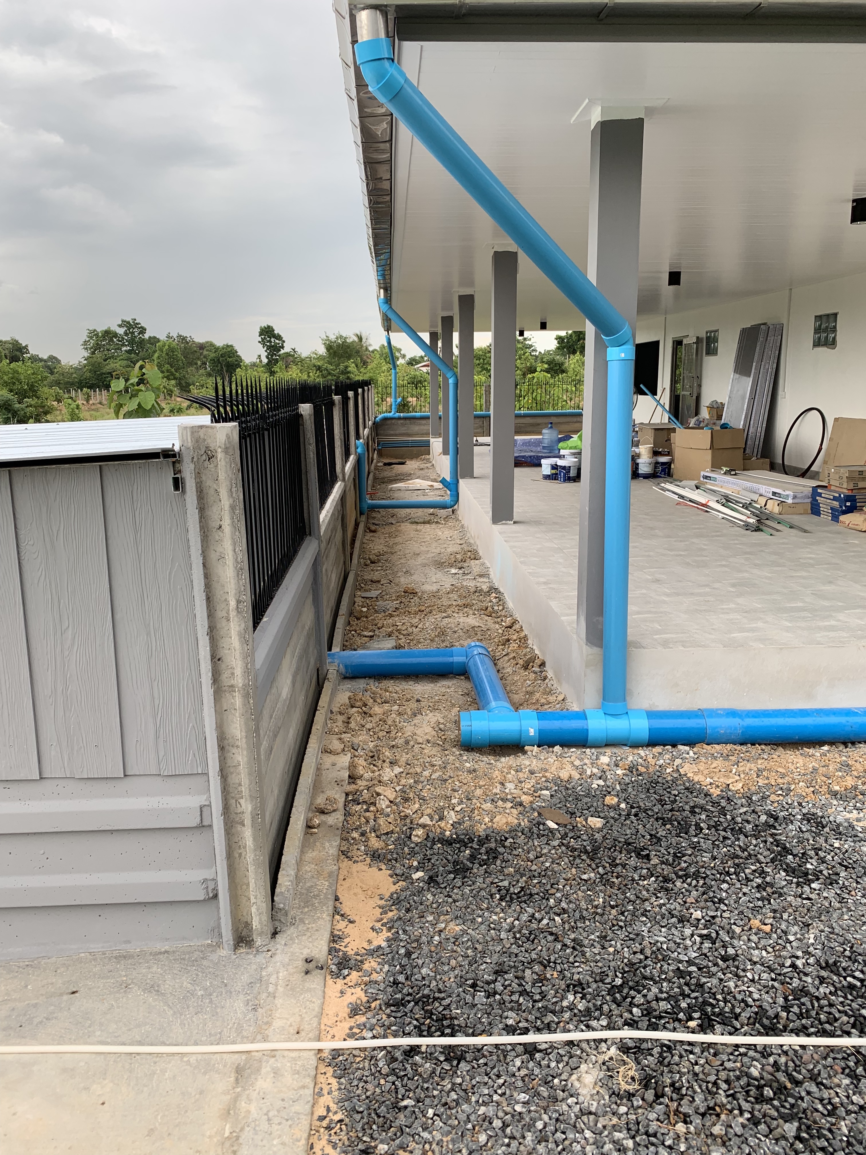 20190628_100146771_iOS