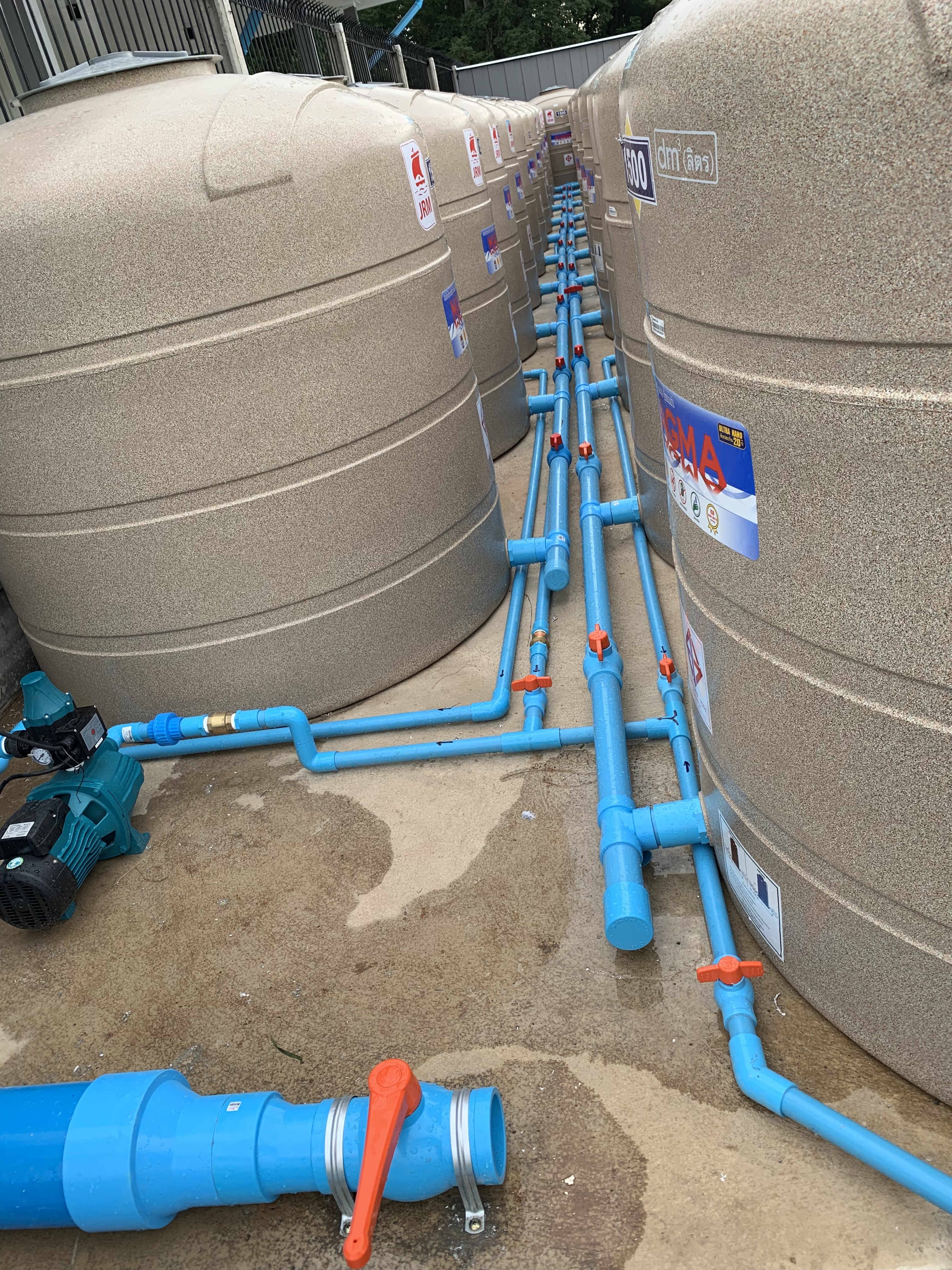 20190628_100244389_iOS