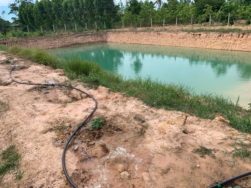 20190705_015043607_iOS