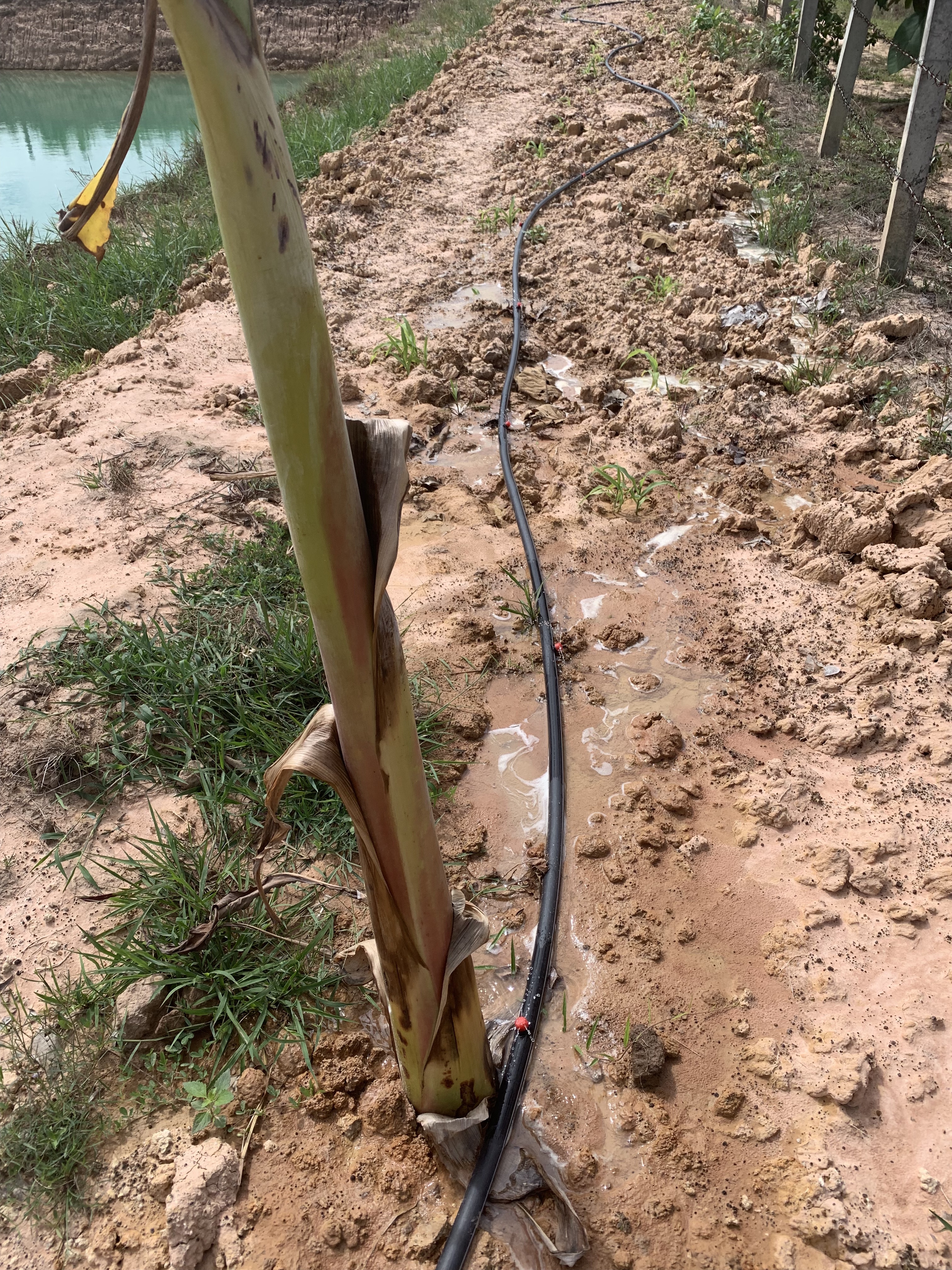 20190705_025114755_iOS