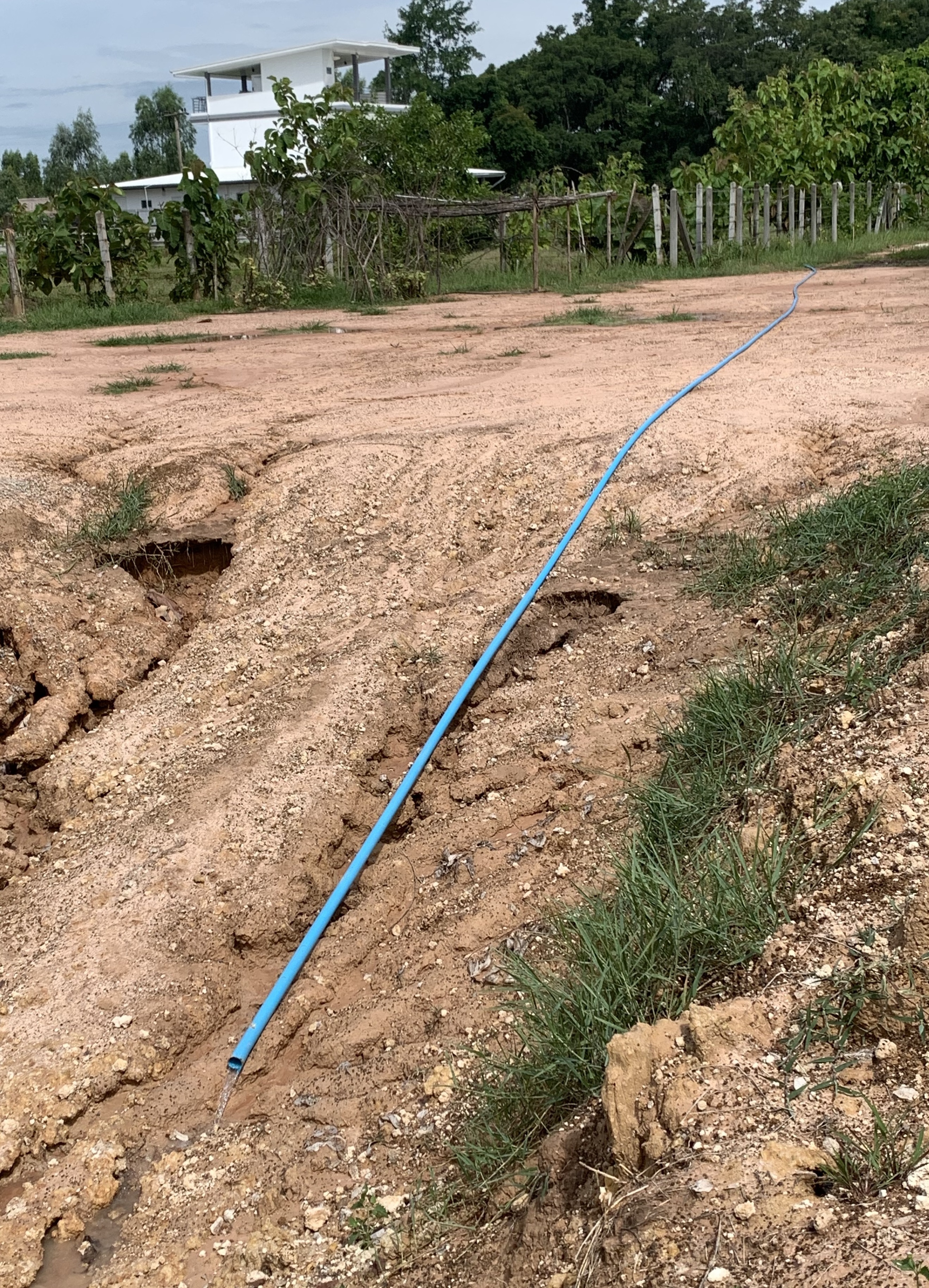 20190730_023924204_iOS