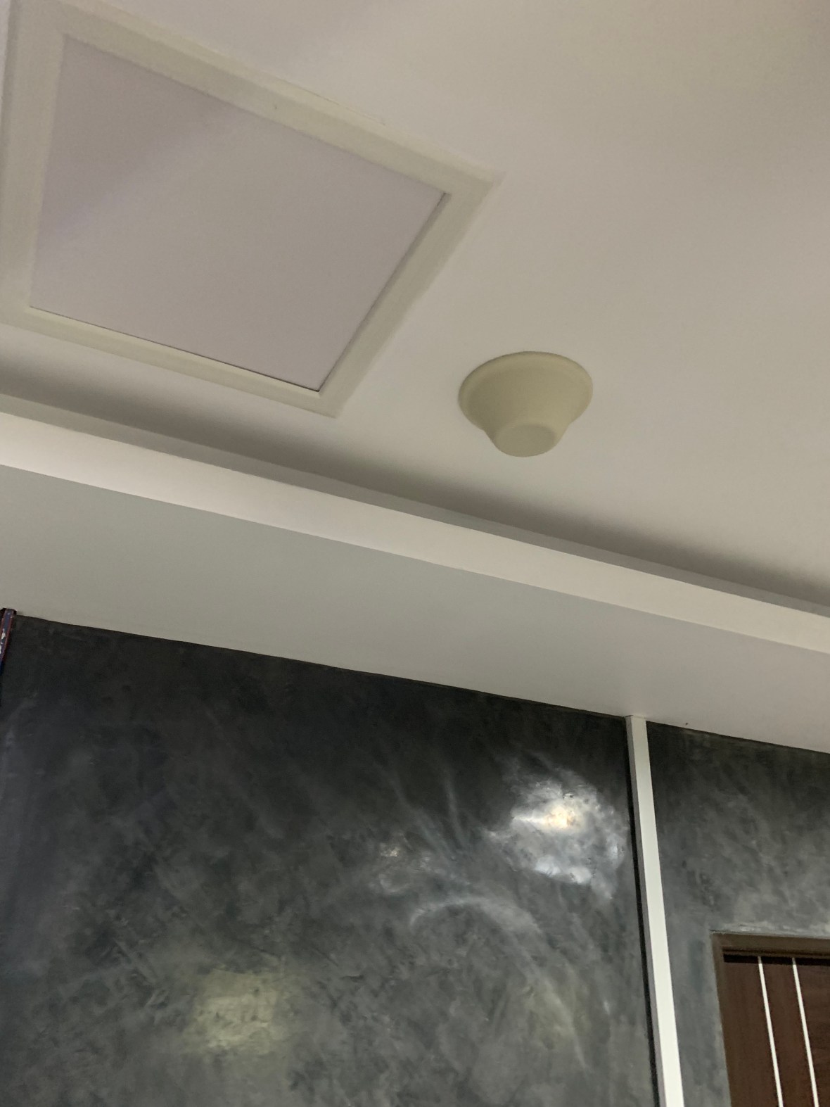 20190821_105751778_iOS