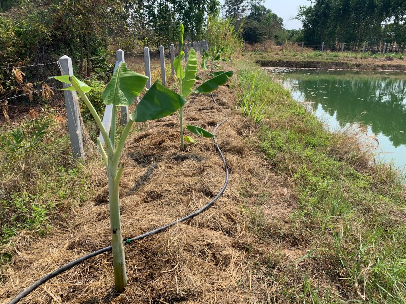 Photo 19-2-20 10 45 08