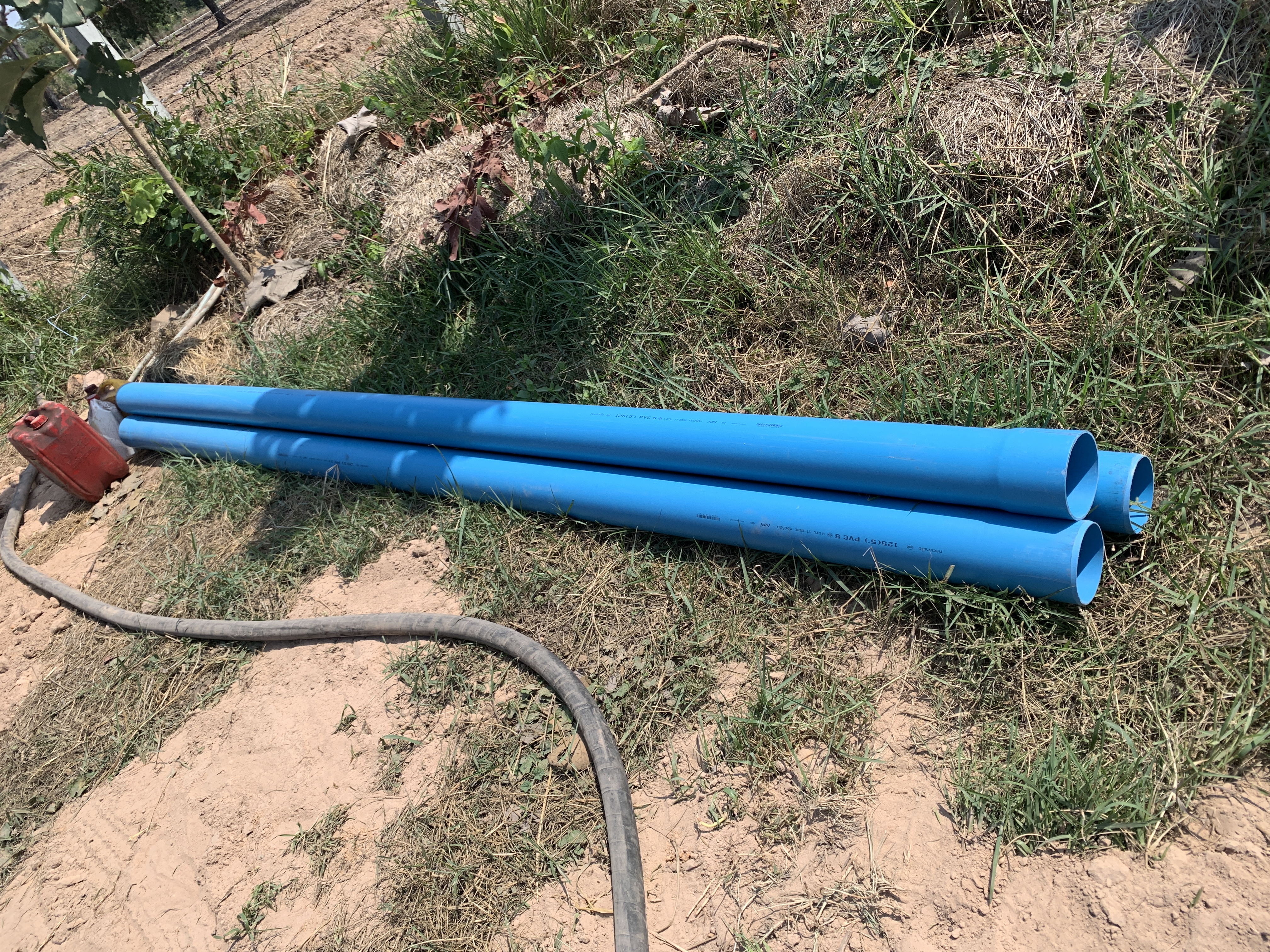 20200426_031311128_iOS