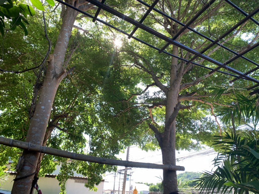 20200624_021317703_iOS