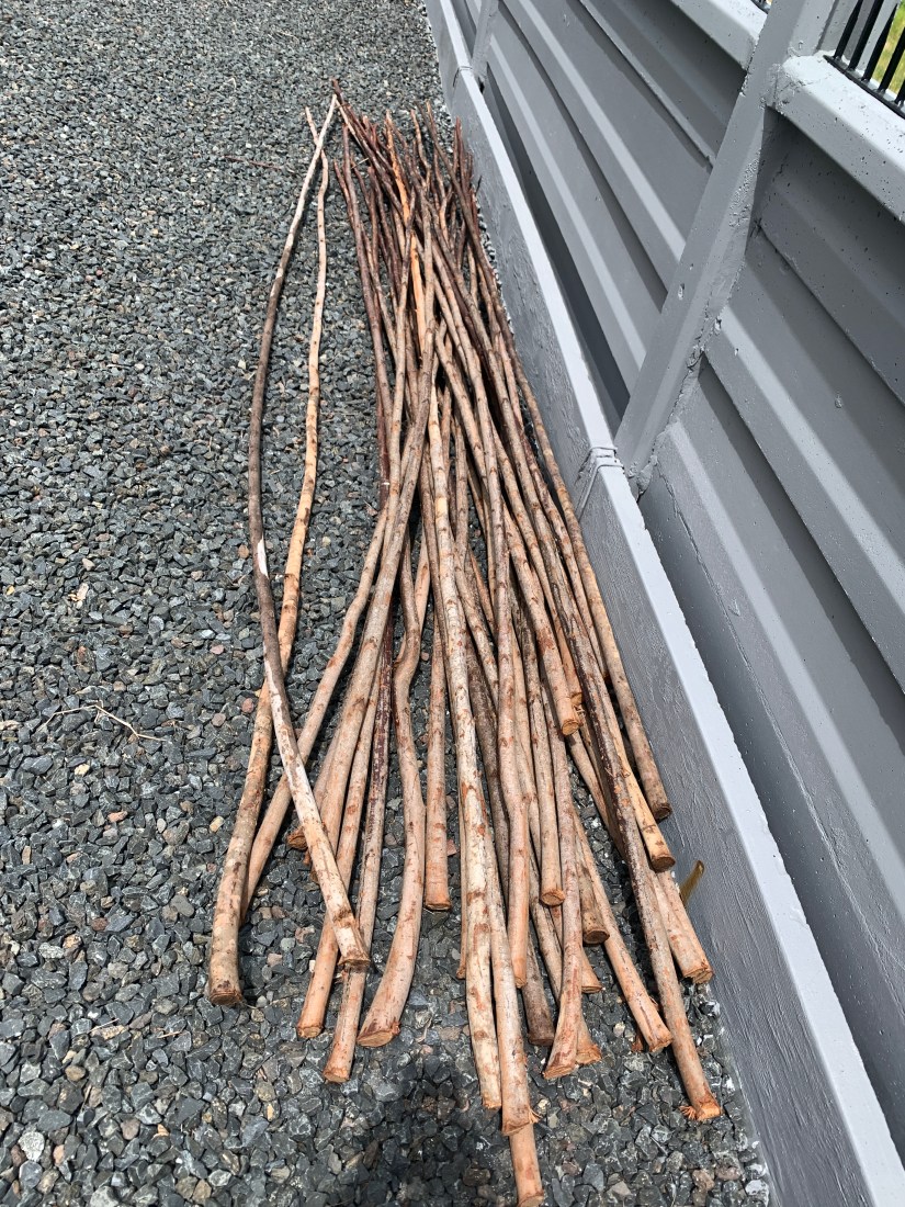 20200703_034312213_iOS