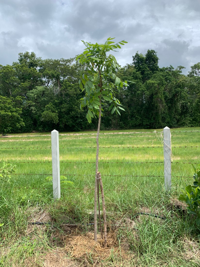 20200703_040912773_iOS