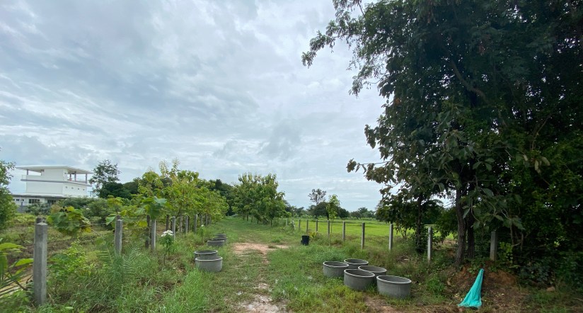 20200801_014340119_iOS