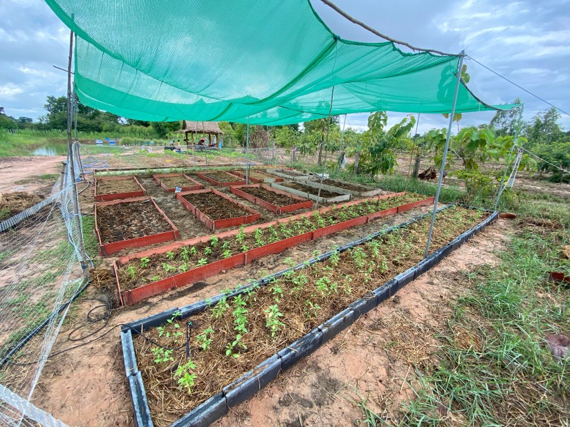 20200801_014350951_iOS