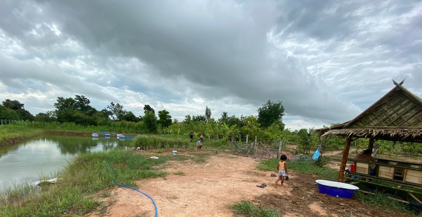 20200801_014418412_iOS