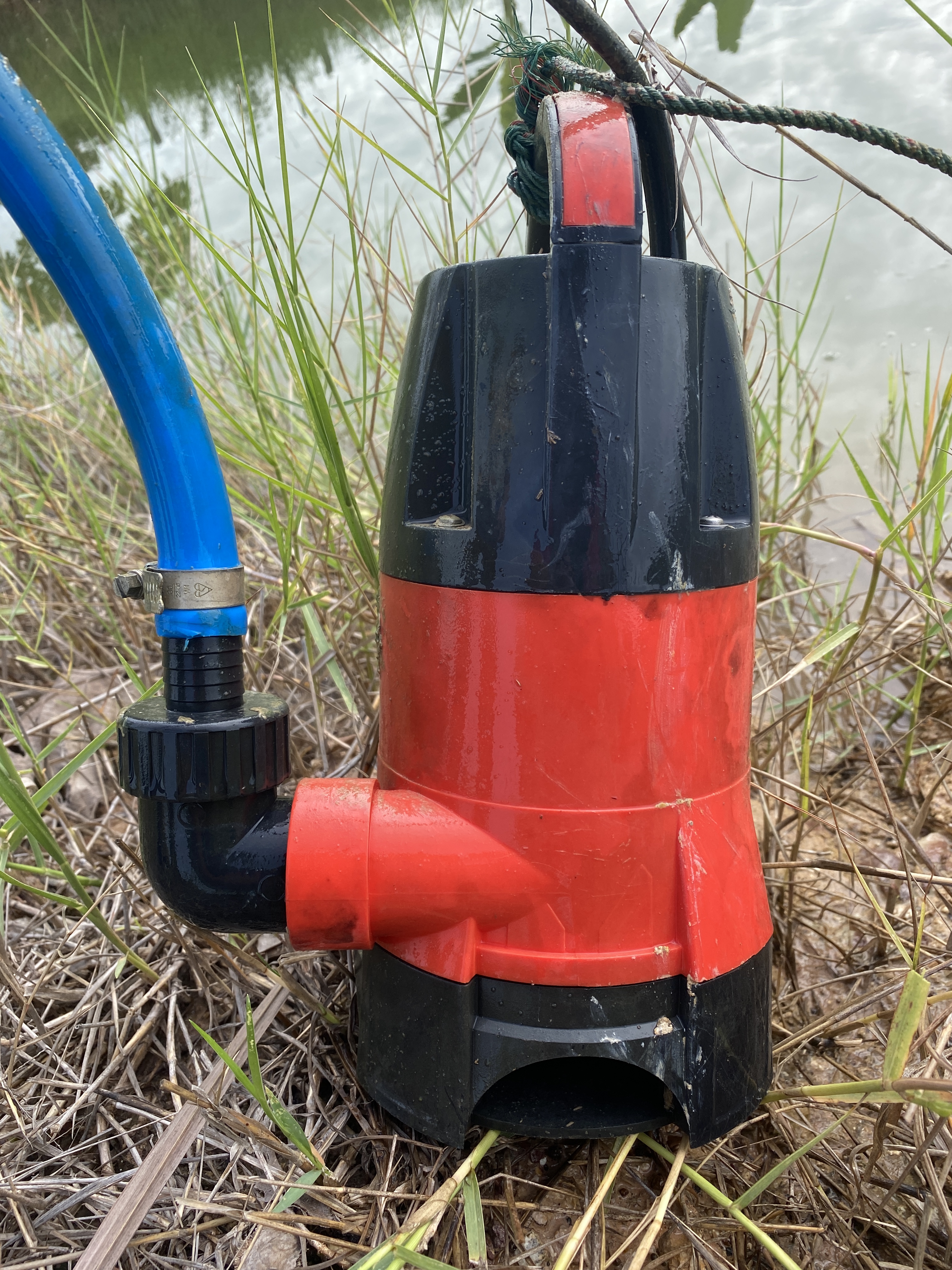 20200803_004722651_iOS