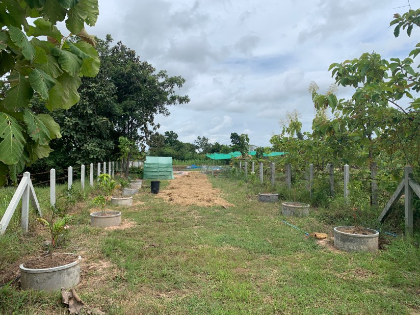 20200820_064451402_iOS