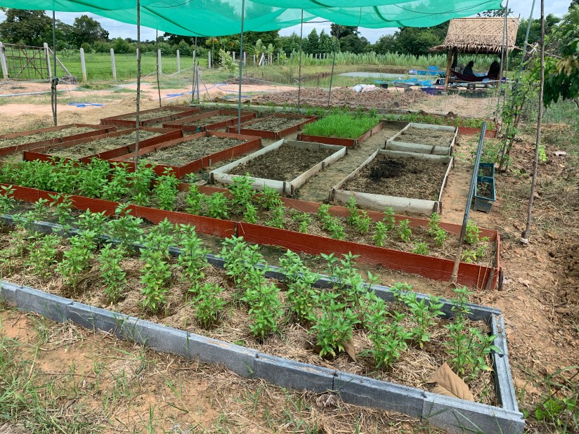 20200820_064617677_iOS 1