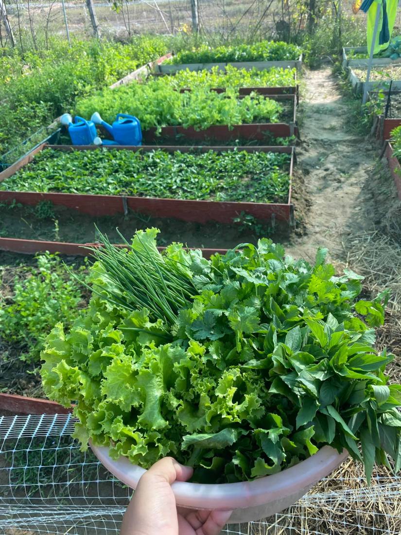 127253640_3457241121039586_9063733037925575401_o