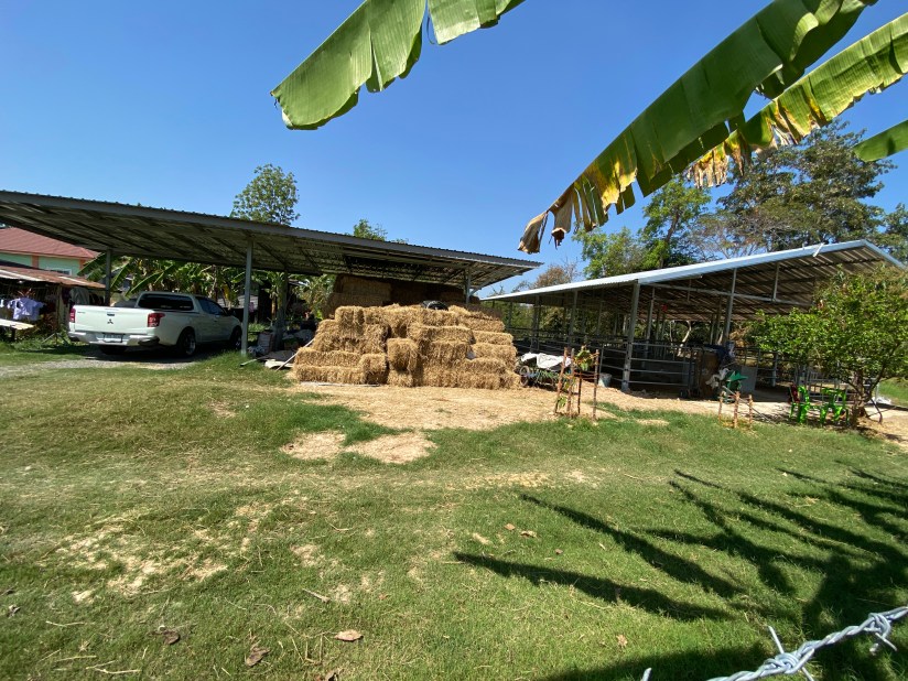 20210207_044223473_iOS