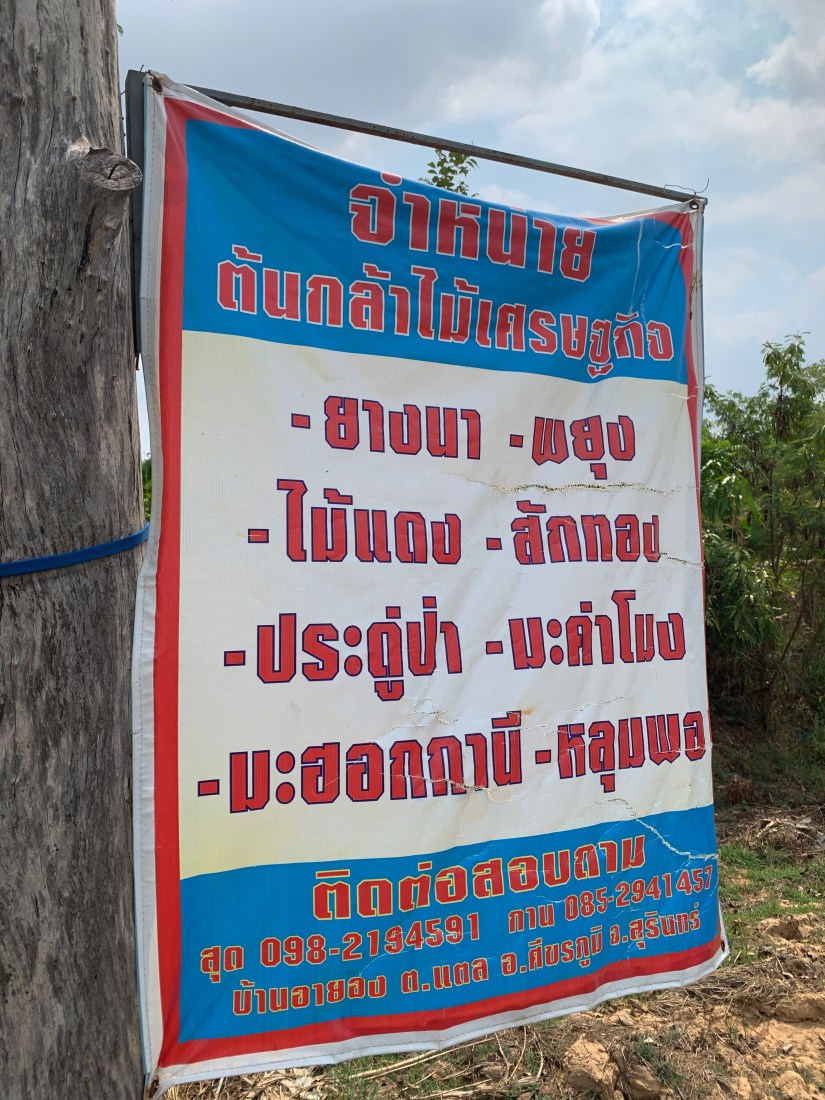 20210304_044744673_iOS