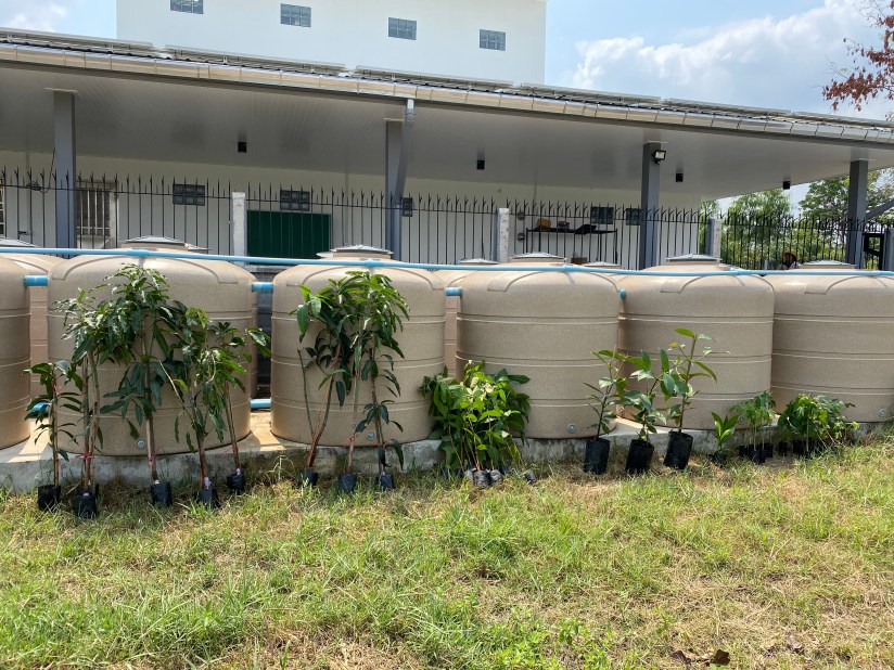 20210304_060038688_iOS