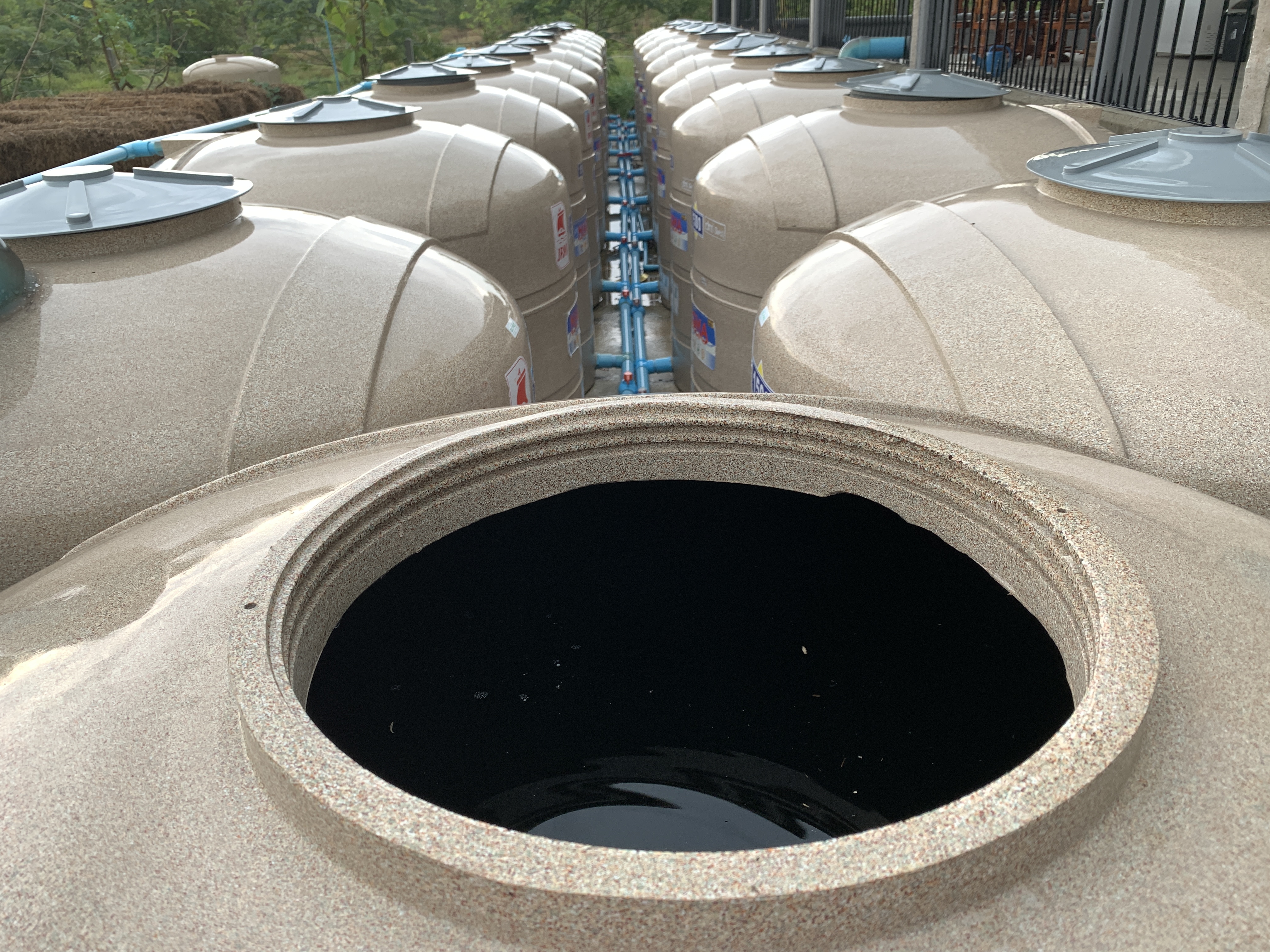 20210422_075801344_iOS