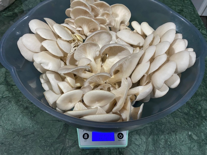 20220128_113826897_iOS